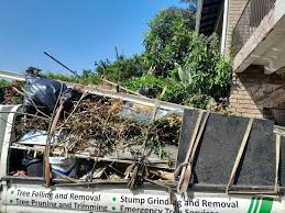 Best Basement Cleanout  in Summit, AZ