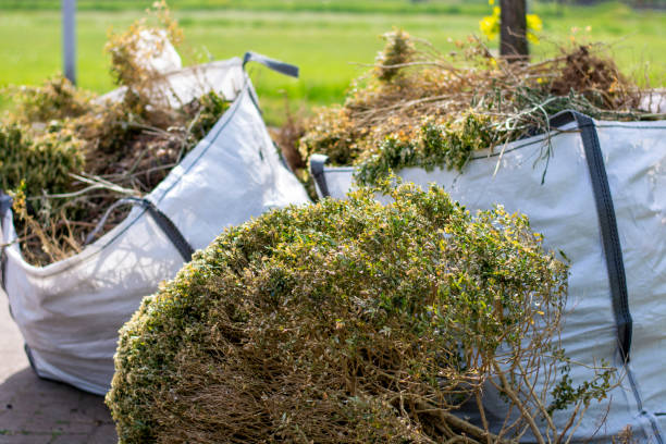 Best Hoarding Cleanup  in Summit, AZ